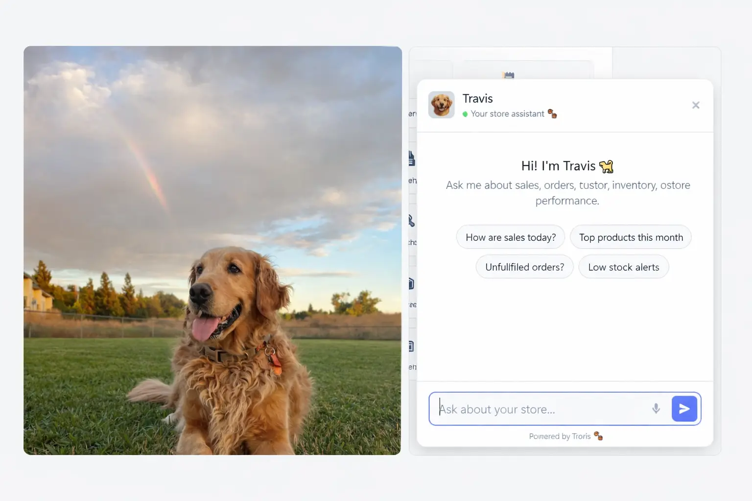 Travis AI Assistant